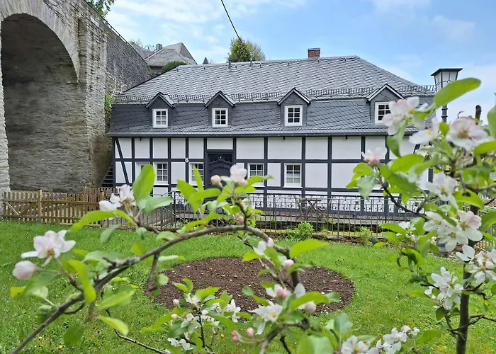 Апартаменты Stachelburg Моншау